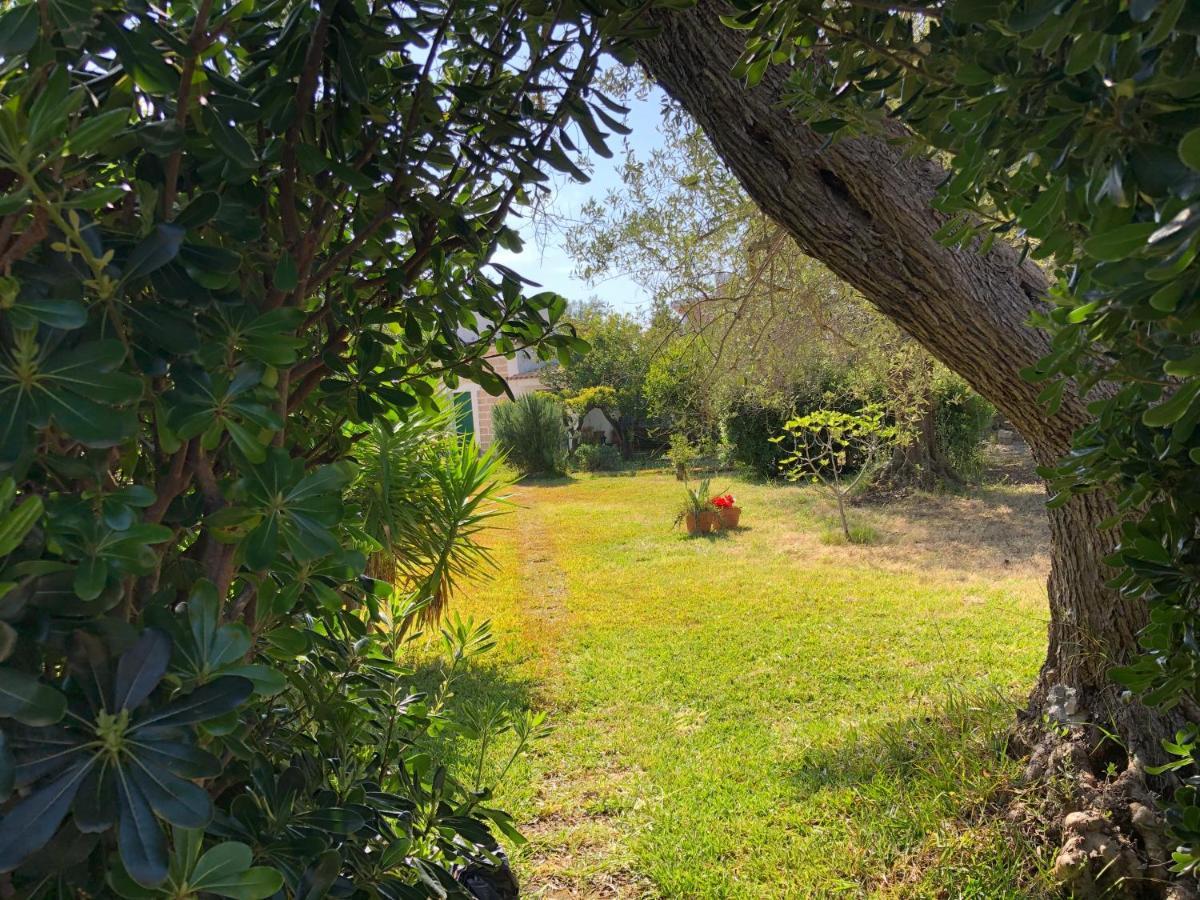 Amecasa Augusta Villa Exterior photo
